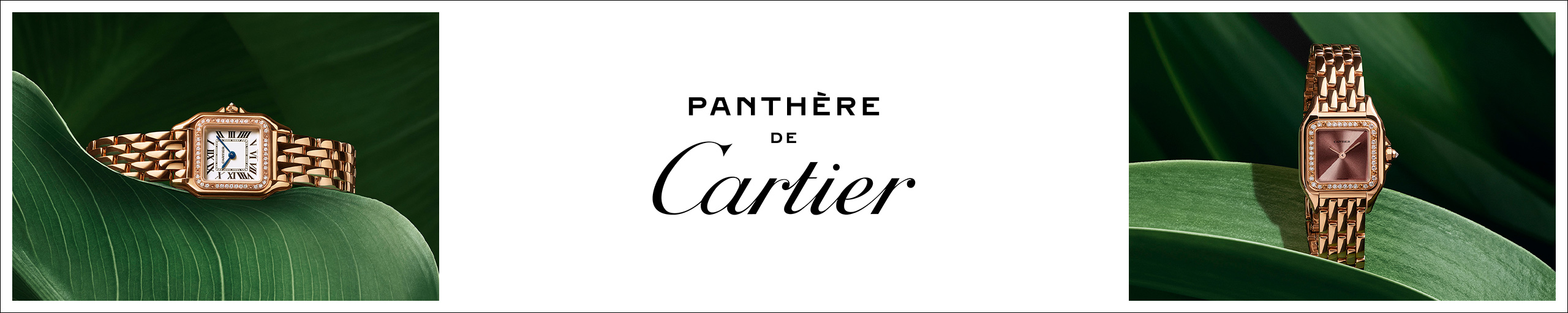 Cartier Panthère bei Juwelier Jasper in Paderborn und Lippstadt